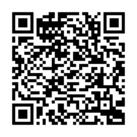 UPI QR Code